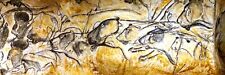 Chauvet cave art for sale  Lansdale