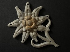 Riginal edelweiss gebirgsjäge gebraucht kaufen  Dresden
