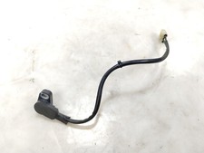 2007 honda shadow for sale  Groveland