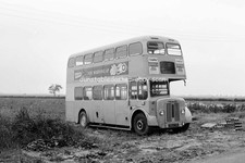 Bus negative leon for sale  DUNSTABLE