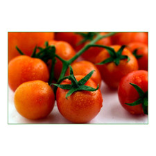 Tomato large cherry for sale  Fort Lauderdale