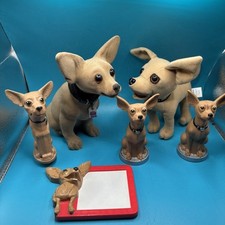 mix chihuahua for sale mix chihuahua for sale Honesdale