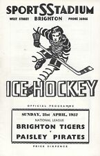 brighton tigers for sale brighton tigers for sale SOUTHAMPTON