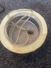 Fish fry rearing for sale  EXMOUTH