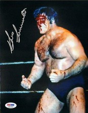 Bruno sammartino signed for sale  Poway