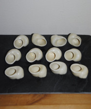 Lot coquilles escargots d'occasion  Strasbourg-