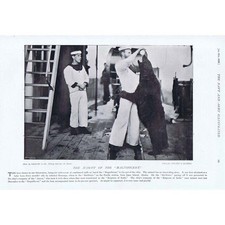 Mascote do HMS Magnífico; Urso bebendo leite condensado - Estampa antiga 1896 comprar usado  Enviando para Brazil