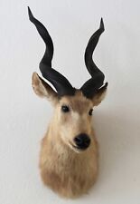 Sitatunga sumpfantilope schult gebraucht kaufen  Neustadt in Sachsen
