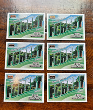 LOTE (6x) - 2024 Panini Minecraft - Tour - Saudações do Bioma Floresta #173 comprar usado  Enviando para Brazil