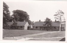 BUNGALOWS PALOMAR, ASHOVER - FOTO REAL POSTAL DERBYSHIRE (ref 6683/20), usado segunda mano  Embacar hacia Mexico