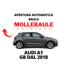 Mollebaule kit molle usato  Mira