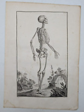 Squelette anatomie ostéologie d'occasion  Paris IX