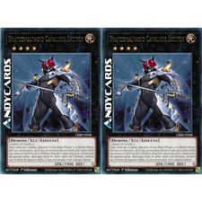 Brancomalvagio cavaliere excit usato  Ravenna