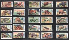 dinosaur cards for sale dinosaur cards for sale BRIDPORT