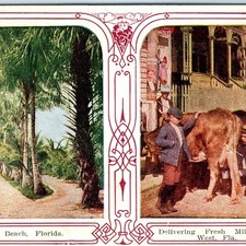 C1909 key west for sale  Evansdale