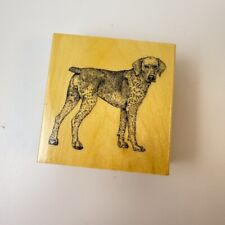 German shorthaired pointer for sale  Forest