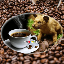 Premium wild kopi usato  Spedire a Italy