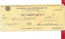 Vintage chippewa lake for sale  Lakewood