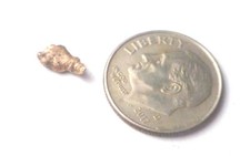 Natural placer gold for sale  Forest Falls