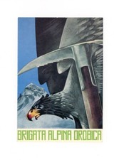 Alpini brigata alpina usato Alpini brigata alpina usato  Milano