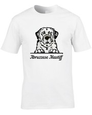 Abruzzese mastiff men for sale  ENFIELD