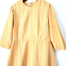 Amish mennonite cape for sale  Honey Brook
