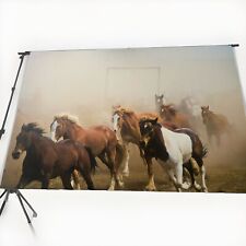 16x24 running horses for sale  Saint Petersburg