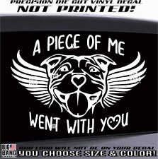 Pitbull dog loving for sale  Oregon