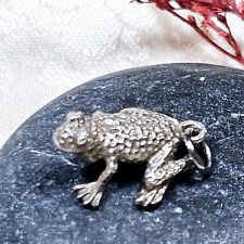 Grenouille argent 925 d'occasion  Le Luc