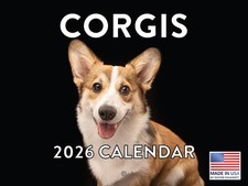 Corgi calendar 2026 for sale  Austin