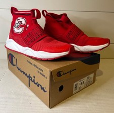 Champion rally pro for sale  Cabot