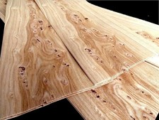 Eiche pommele maser gebraucht kaufen  Bad Salzuflen