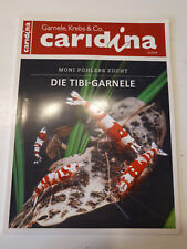 Caridina garnele krebs gebraucht kaufen  Bexbach