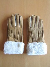 Bnwot camel light for sale Bnwot camel light for sale  WIGAN