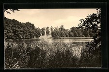 Ansichtskarte heidesee uferanl gebraucht kaufen  Berlin