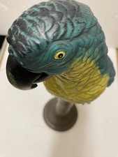 Blue wings macaw for sale  LONDON