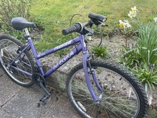 One adult two for sale  PURLEY