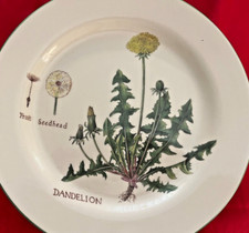 William sonoma culinary for sale  Santa Barbara