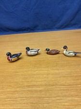 Jett brunet miniature for sale  Asheville