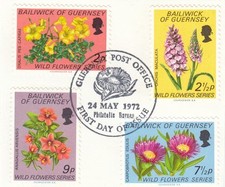 Fiori selvatici guernsey usato  Spedire a Italy