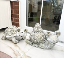 Large toitoise snail for sale  SUTTON COLDFIELD
