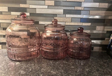 Pioneer woman embossed for sale  Butler