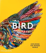 Bird exploring winged for sale  ROSSENDALE