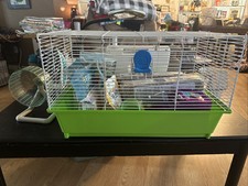 Hamster starter set for sale  Katy