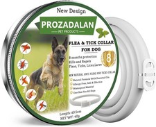 Collare antipulci zecche usato Collare antipulci zecche usato  Anzio