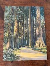Vtg orig redwoods for sale  Seattle