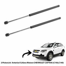 Molle gas pistoncini usato  Italia