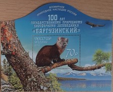 Russland block 100 gebraucht kaufen  Leipzig
