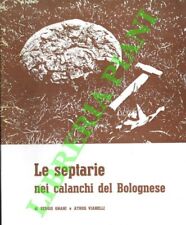 Gnani sergio vianelli usato  Italia