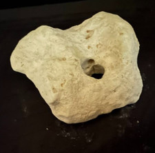 Texas limestone holey for sale  Worth